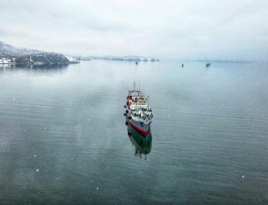 Croisière polaire : partez à la découverte des mondes gelés de l’Arctique et de l’Antarctique !
