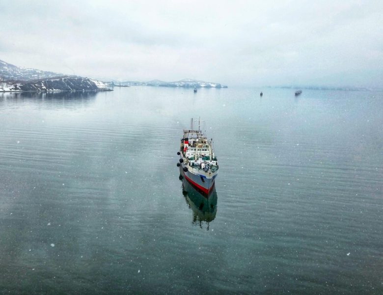Croisière polaire : partez à la découverte des mondes gelés de l’Arctique et de l’Antarctique !