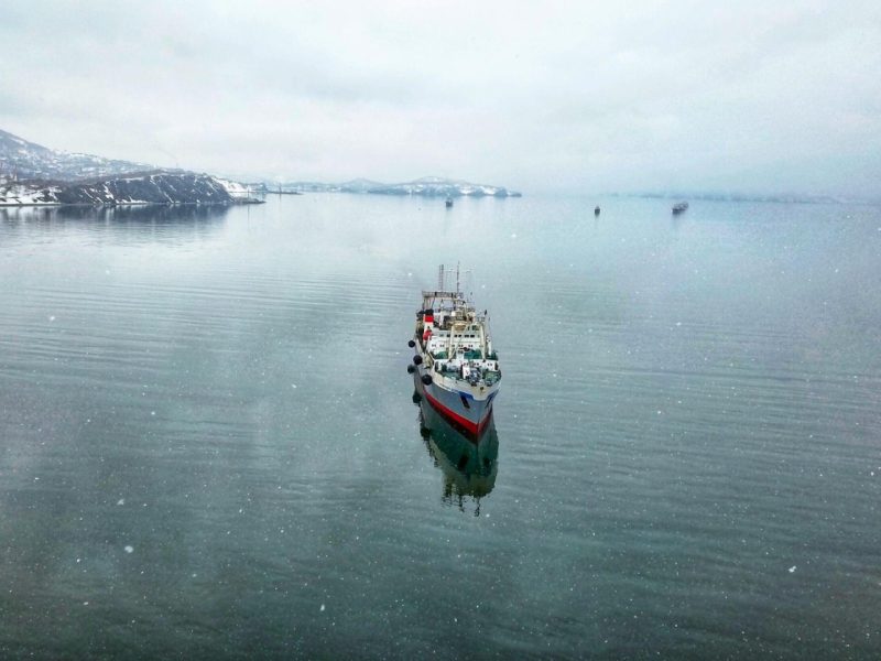Croisière polaire : partez à la découverte des mondes gelés de l’Arctique et de l’Antarctique !